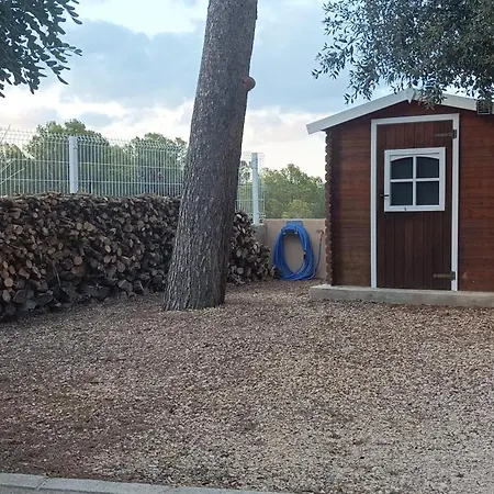 Les Nines * 卡尔佩